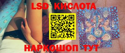бошки Камышлов