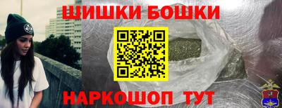 бошки Камышлов