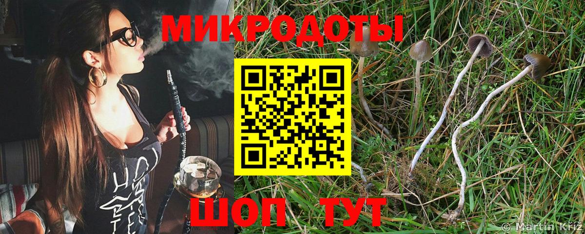 Коркино  Псилоцибиновые грибы Psilocybine cubensis  купить наркотик  Вход с VPN  Галлюциногенные грибы GOLDEN TEACHER 